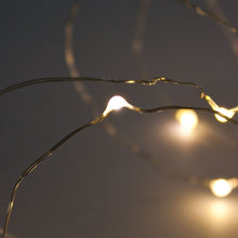 Carica l'immagine nel visualizzatore di Gallery, Catena argento a batteria 3,9 m, 40 MICROLED bianco caldo
