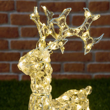Carica l'immagine nel visualizzatore di Gallery, Renna luminosa con cristalli, led bianco freddo e caldo