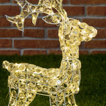 Carica l'immagine nel visualizzatore di Gallery, Renna luminosa con cristalli, led bianco freddo e caldo