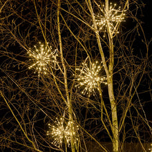 Carica l'immagine nel visualizzatore di Gallery, TWIGball argento, led bianco caldo