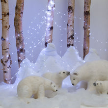 Carica l'immagine nel visualizzatore di Gallery, Cascata di luci 1,2 m, 300 microled bianco caldo