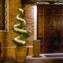 Carica l'immagine nel visualizzatore di Gallery, Cascata di luci 3,2 m, 900 microled bianco freddo