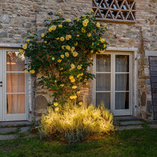 Cargar imagen en el visor de la galería, Stella marrone Ø 30 cm, microled bianco caldo