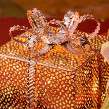 Cargar imagen en el visor de la galería, Pacco Regalo rame o champagne, 20 led bianco caldo