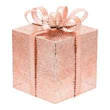 Cargar imagen en el visor de la galería, Pacco Regalo rame o champagne, 40 led bianco caldo