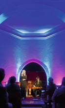 Carica l'immagine nel visualizzatore di Gallery, Eurolite LED SL-350