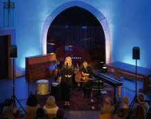 Carica l'immagine nel visualizzatore di Gallery, Eurolite LED SL-350