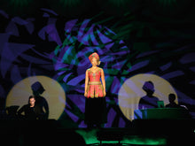 Carica l'immagine nel visualizzatore di Gallery, Eurolite LED SL-600 DMX