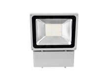 Carica l'immagine nel visualizzatore di Gallery, Eurolite LED IP FL-100 6400K