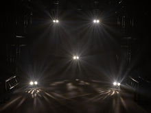 Cargar imagen en el visor de la galería, Eurolite LED DMF-3 Flower effect