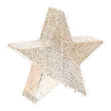 Carica l'immagine nel visualizzatore di Gallery, Stella 5 punte champagne Ø 30 cm, led bianco caldo