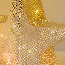 Carica l'immagine nel visualizzatore di Gallery, Stella 5 punte champagne Ø 30 cm, led bianco caldo