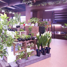 Carica l'immagine nel visualizzatore di Gallery, V-TAC SMD TUBO LED T8 G13 18W LAMPADINA 120CM X ALIMENTI