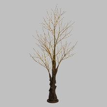Carica l&#39;immagine nel visualizzatore di Gallery, Albero marrone con tronco e base rotonda, microled bianco caldo
