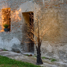 Carica l'immagine nel visualizzatore di Gallery, Albero marrone con tronco e base rotonda, microled bianco caldo