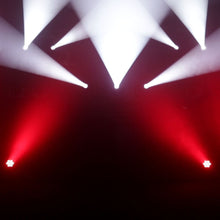 Carica l'immagine nel visualizzatore di Gallery, Cameo Auro Spot 200