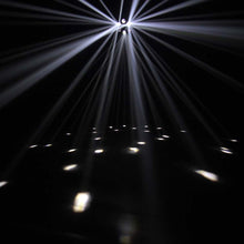 Cargar imagen en el visor de la galería, Cameo flower HP