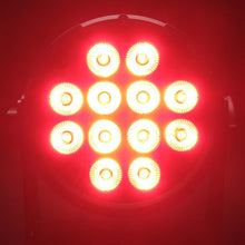 Carica l'immagine nel visualizzatore di Gallery, Cameo Flat PRO PAR 12