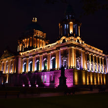 Cargar imagen en el visor de la galería, Cameo PixBar 600 Pro