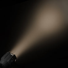 Cargar imagen en el visor de la galería, Cameo Studio P ST DTW