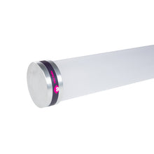 Carica l'immagine nel visualizzatore di Gallery, Ape Labs ApeCoin - Tube