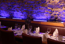 Cargar imagen en el visor de la galería, Ape Labs ApeStick 4