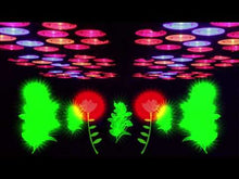 Carica e avvia il video nel visualizzatore di galleria, ORTOLED 6 CON SPETTRO GROWLUX LAMPADA LED 288W PER COLTIVAZIONE INDOOR