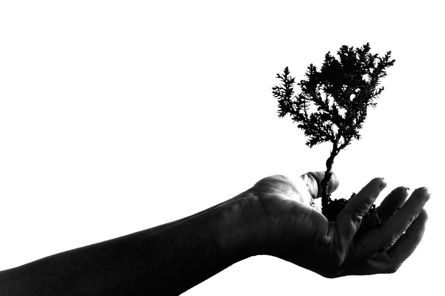 Inquinamento aria: le principali fonti o cause.