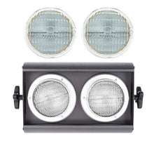 Cargar imagen en el visor de la galería, DTS Flash 2000 Set 2x 650W
