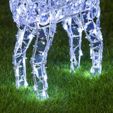 Carica l&#39;immagine nel visualizzatore di Gallery, Renna luminosa con cristalli, led bianco freddo e caldo
