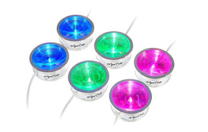 Ape Labs ApeCoin kit di  6
