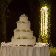 Carica l&#39;immagine nel visualizzatore di Gallery, Ramo di salice luminoso bianco, 736 led bianco caldo
