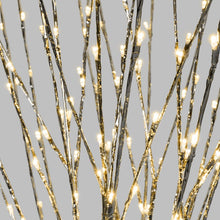 Cargar imagen en el visor de la galería, Tralcio Ramo argento 3 m, 288 led bianco caldo, cavo trasparente
