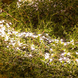 Cascata di luci 3,2 m, 900 microled bianco caldo
