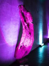 Carica l&#39;immagine nel visualizzatore di Gallery, Eurolite AKKU Bar-6 Glow QCL Flex Q-DMX
