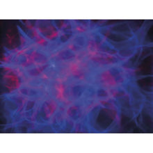 Carica l&#39;immagine nel visualizzatore di Gallery, Showtec Dreamwave
