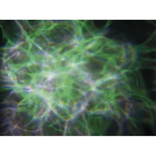 Carica l&#39;immagine nel visualizzatore di Gallery, Showtec Dreamwave
