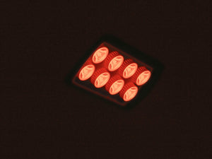 Eurolite LED IP FL-8 red 30°