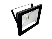 Cargar imagen en el visor de la galería, Eurolite LED IP FL-50 COB UV
