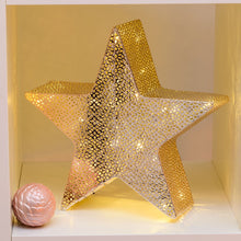 Carica l&#39;immagine nel visualizzatore di Gallery, Stella 5 punte champagne Ø 30 cm, led bianco caldo
