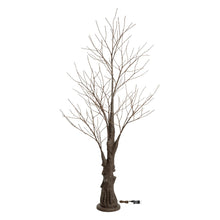Carica l&#39;immagine nel visualizzatore di Gallery, Albero marrone con tronco e base rotonda, microled bianco caldo
