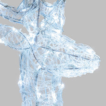 Cargar imagen en el visor de la galería, Renna luminosa in acrilico, 180 led bianco freddo
