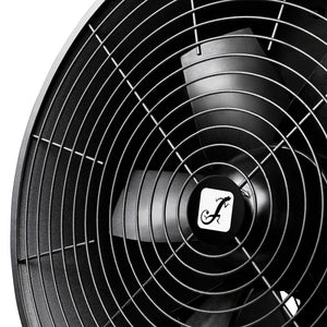 Cameo Instant Air 2000 Pro