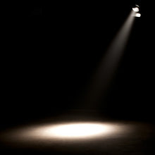 Carica l&#39;immagine nel visualizzatore di Gallery, ADJ Encore FR150z
